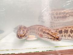 -永辉超市(世纪金源店)