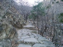 -北京鹫峰国家森林公园