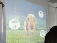 -华兴日语学校(总校)