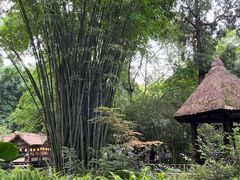 -成都杜甫草堂博物馆