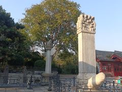 -卢沟桥