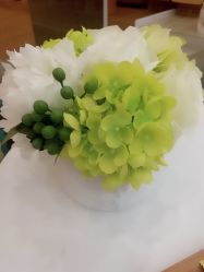 -MIDA蜜哒•科技逆龄美肤连锁