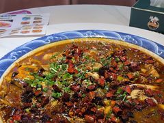 -新概念来凤鱼(璧山店)