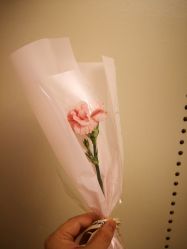 -弗蕾亚·和月月子调理院(东湖店)