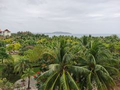 -三亚海棠湾万丽度假酒店