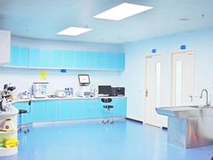 中央处置室-宠瑞康动物医院