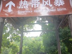 -海南槟榔谷黎苗文化旅游区
