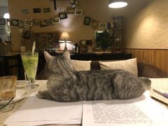 -隅cafe(傅厚岗店)