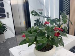 -常熟玉蕙口腔医院
