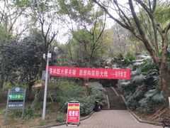 -南山植物园