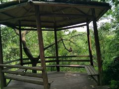 -重庆雨台山风景区