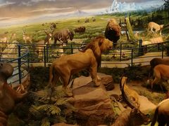 -陕西自然博物馆