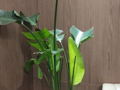 -尚宴(盛世广场·食尚街店)