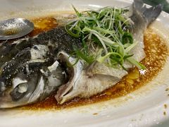 清远山坑鲩鱼-粤西稻里(富力路店)