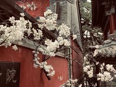-潭柘寺景区