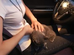 -宠颐生中康贝怡动物医院