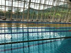 -深圳大学城（南区）体育中心-游泳馆