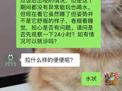 -凯特喵百思猫专科医院