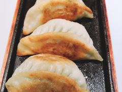 鲜韭菜煎饺-金鼎轩·滋养小餐馆(联想桥店)