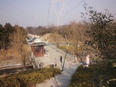 -佛手湖郊野公园