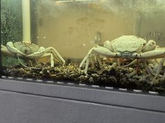 -福升海鲜洒楼