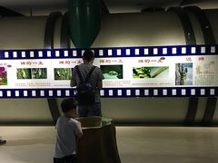 -上海昆虫博物馆