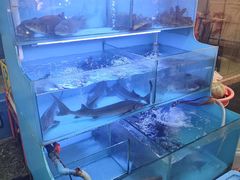 -韩妹鱼庄·泸定老字号(泸定店)