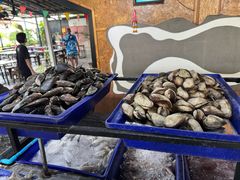 -Jomtien Talay Pao Pattaya