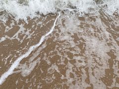 -椰风寨