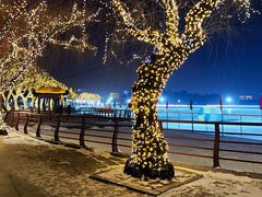 -长春市南湖公园