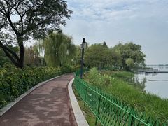 -金银湖国家城市湿地公园