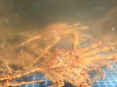 -东海怡品海鲜豆捞(星街坊店)