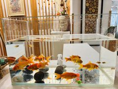 -世纪飞马幼儿园(西城校区)