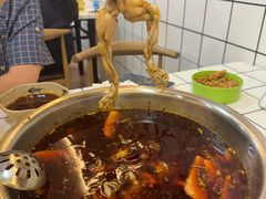 -品鱻黑豆花美蛙鱼(西政店)