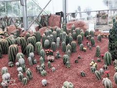 -南通洲际绿博园