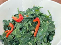 野生枸杞苗-宁夏招待所食堂(长城花园店)