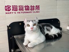 -哆趣宠物医院·眼科·内镜·急重症转诊中心(上海店)