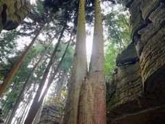 -梭布垭石林景区