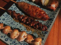 京葱鸡腿肉-串鑫