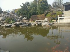 -梅园