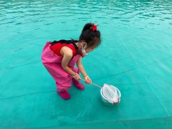 -小蜜蜂农场(凯德七宝购物广场店)