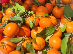 -天津东丽湖风景区