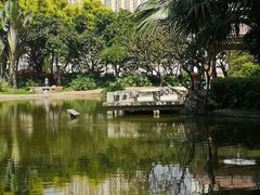 -黄埔荔枝公园