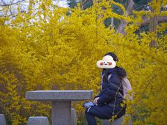 -日照海滨国家森林公园