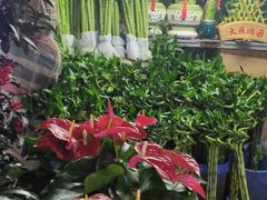 -花鸟鱼虫鲜花绿植市场(玉泉路店)