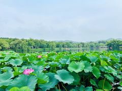 -承德避暑山庄景区