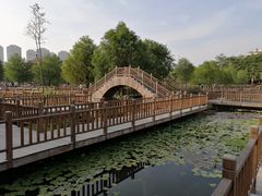 -五缘湾湿地公园