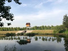 -东郊湿地公园