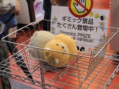 -秋叶原电器街
