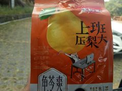 -广州市石门国家森林公园